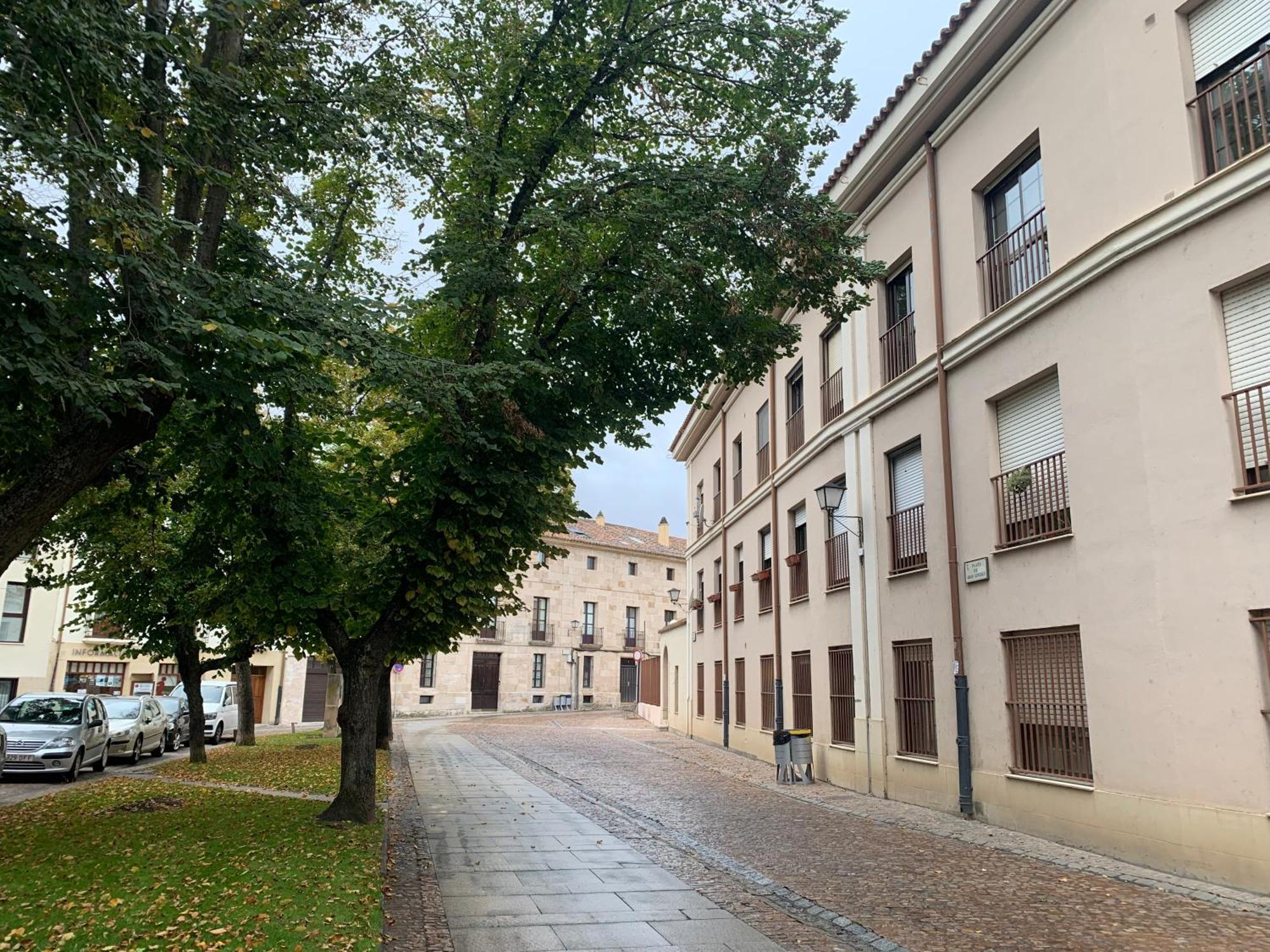 Апартаменти Junto A La Catedral, Con Parking Privado Gratis Самора Екстер'єр фото